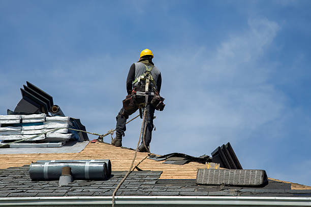 Professional Roof Replacement technician working in Camden Point, MO
